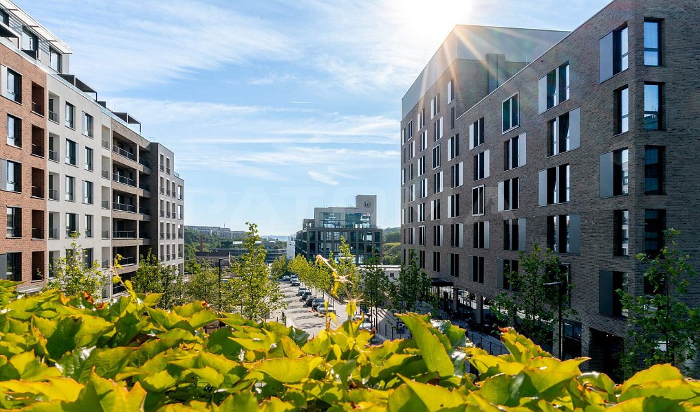 Pronájem kanceláře 279 m², Praha – náhled fotky 6
