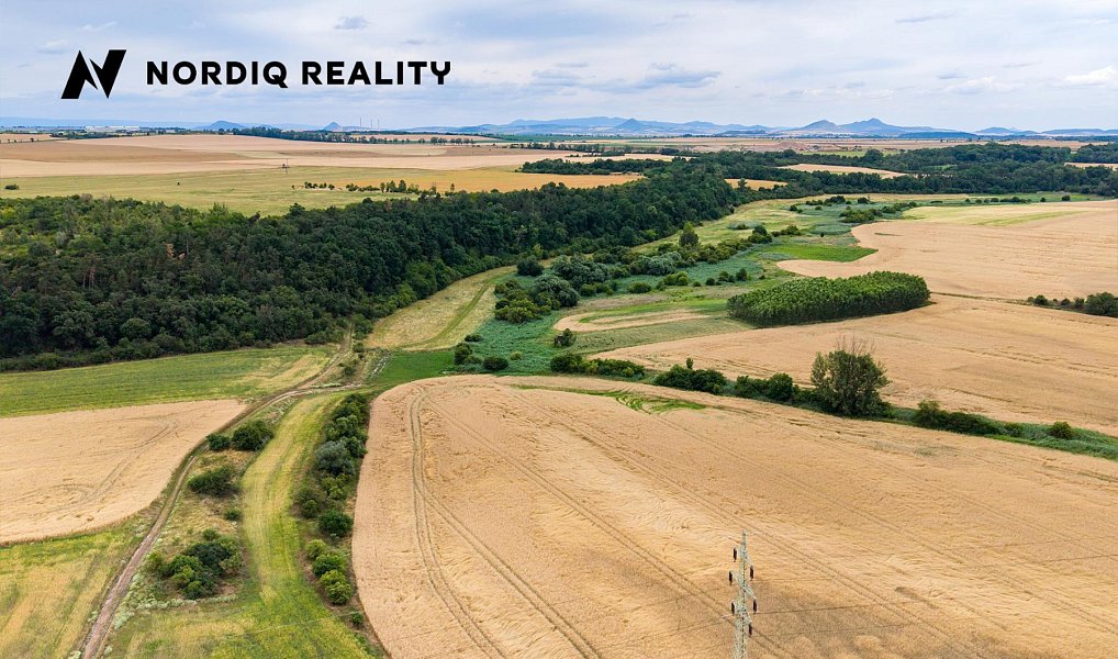 Prodej pole 3 340 m², Staňkovice – náhled fotky 11