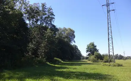 Dražba louky 4 728 m², Studénka