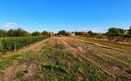 Prodej stavebního pozemku 616 m², Školní, Lanžhot, okres Břeclav