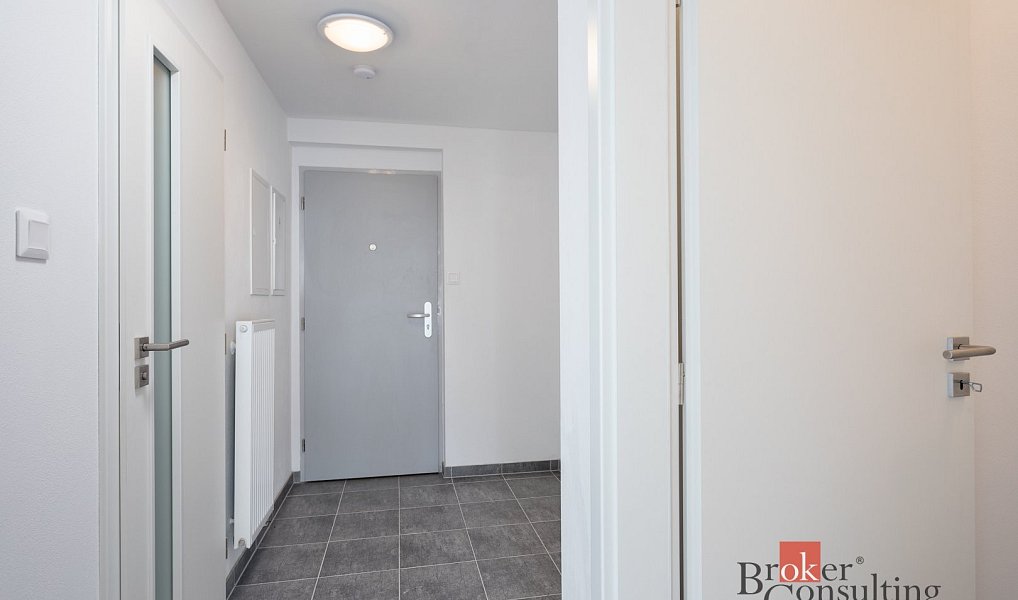 Pronájem bytu 2+kk 50 m², Plzeň – náhled fotky 10