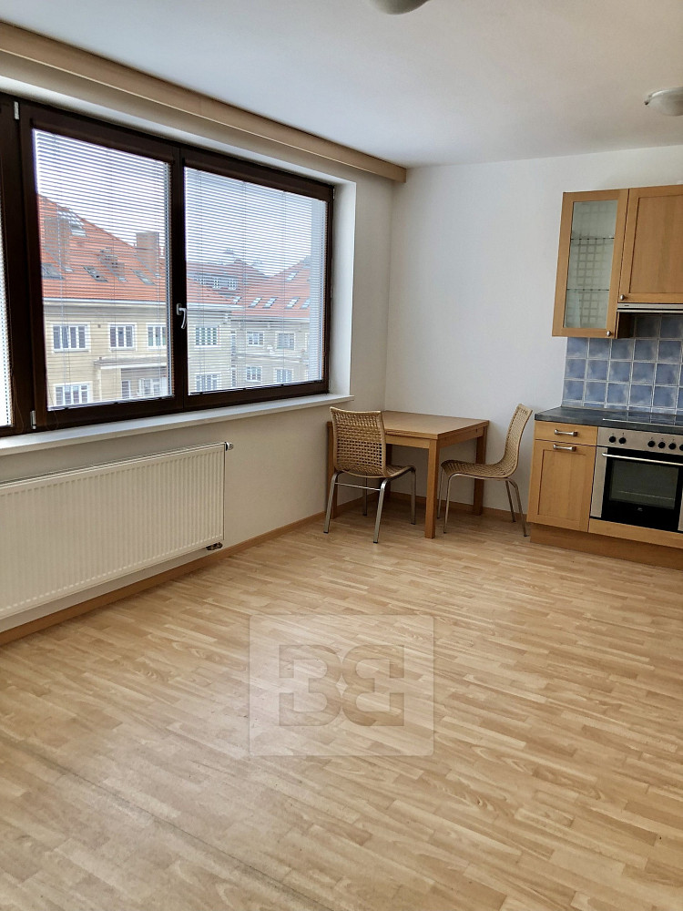 Pronájem bytu 1+kk 41 m² — photo 4