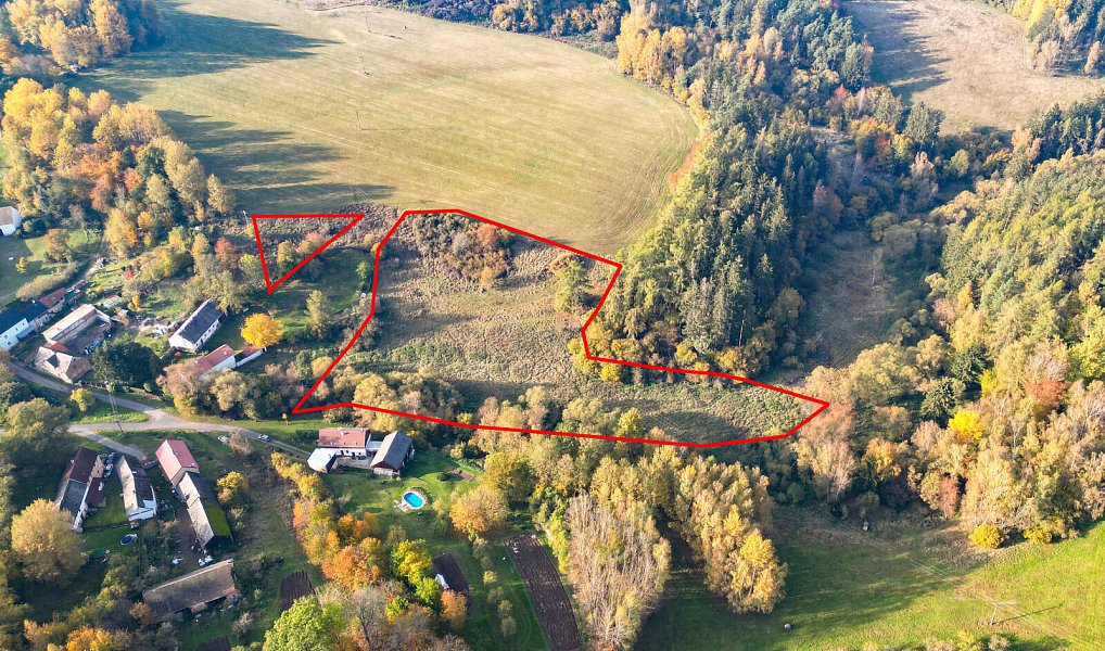 Prodej pozemku 15 970 m², Planá – náhled fotky 16