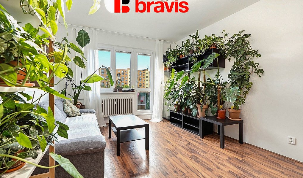 Prodej bytu 2+1 55 m², Brno – náhled fotky 5