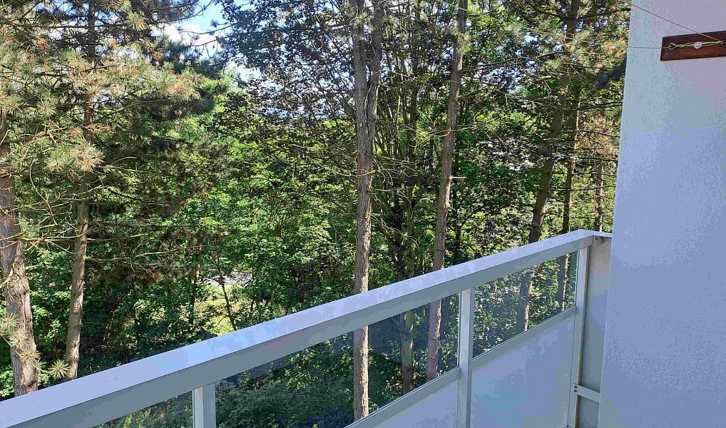 Pronájem bytu 2+1 60 m², Karlovy Vary – náhled fotky 11