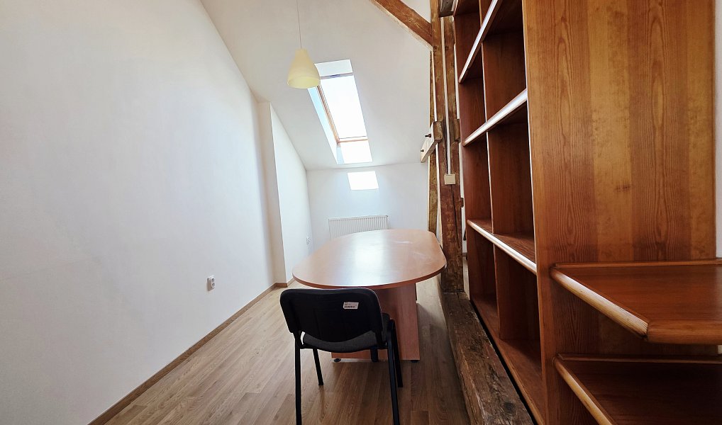 Pronájem bytu 1+kk 106 m², Plzeň – náhled fotky 10