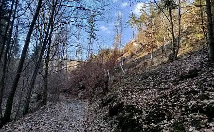 Prodej louky 4 019 m², Jílové u Držkova, okres Jablonec nad Nisou