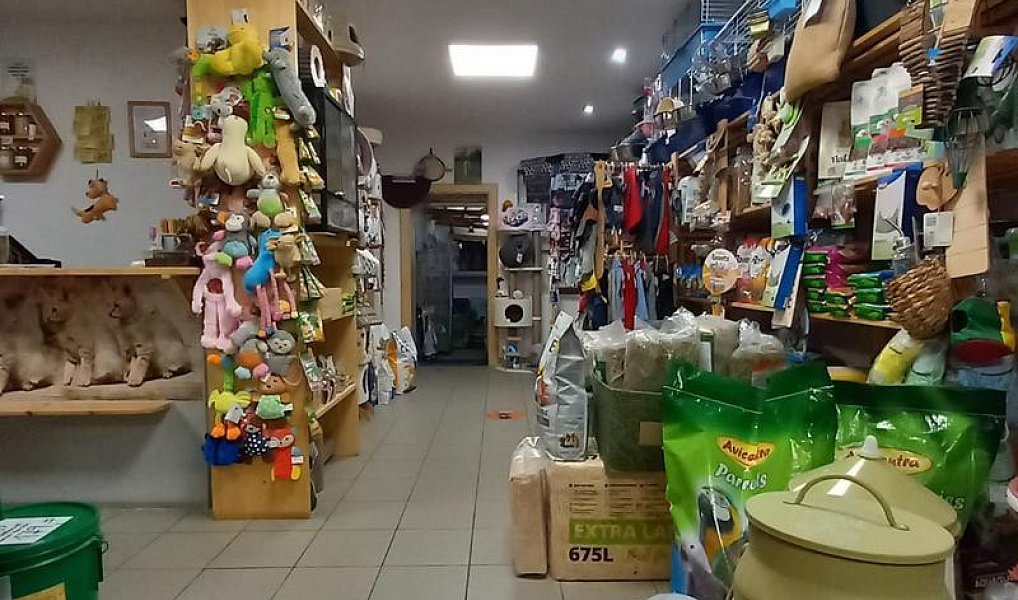 Prodej domu 111 m² s pozemkem 916 m², Městec Králové – náhled fotky 19