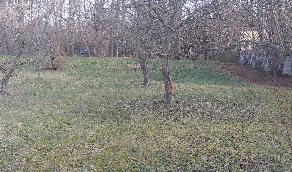 Pronájem zahrady 300 m², Rokycany – náhled fotky 3