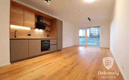 Pronájem bytu 1+kk 45 m²