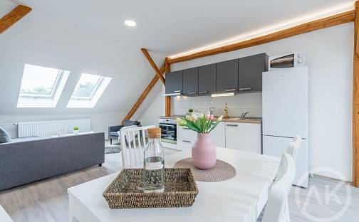 Pronájem bytu 1+kk 45 m², Erbenova, Ostrava - Vítkovice