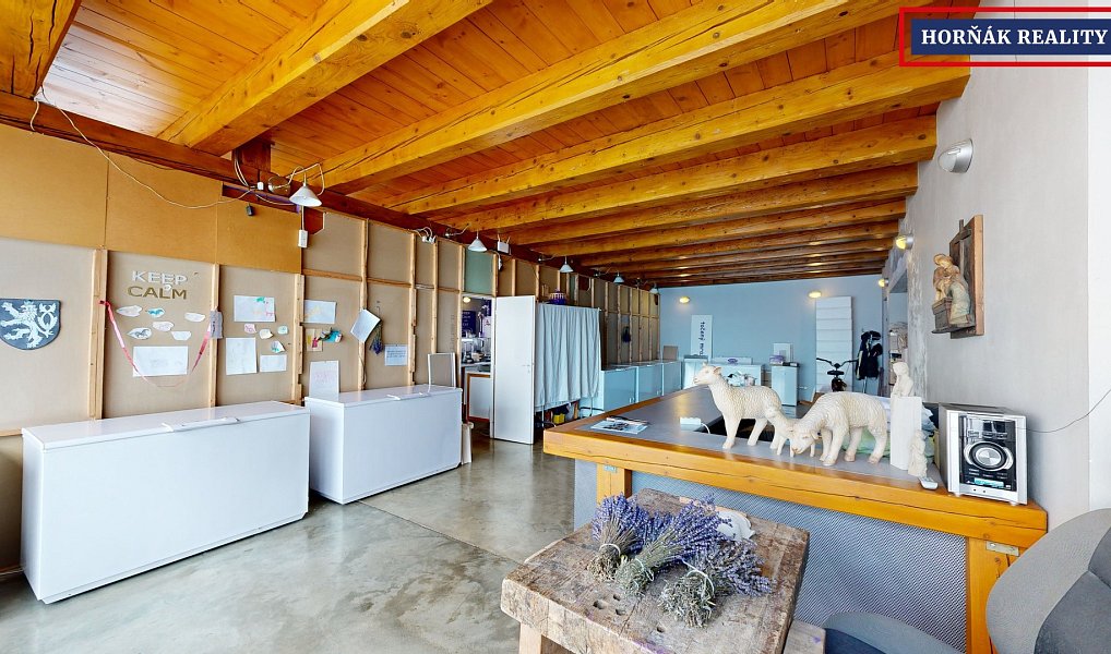 Prodej domu 900 m² s pozemkem 503 m², Bučovice – náhled fotky 11