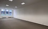Ostatní