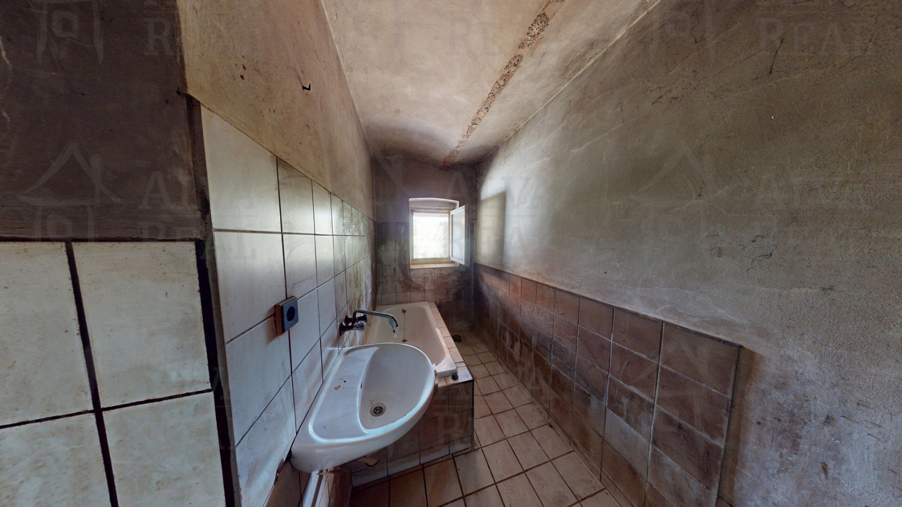 Fotka 14 z 30
