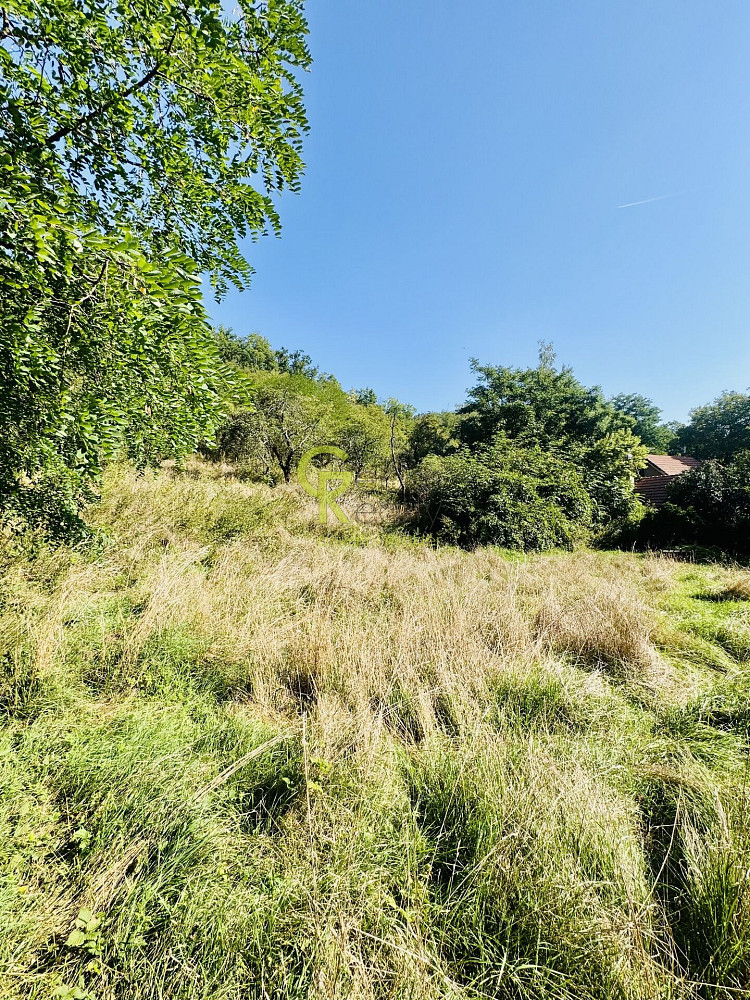 Prodej stavebního pozemku 3 752 m² — photo 2