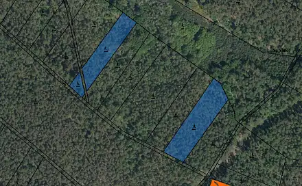 Prodej lesa 460 m², Litošice, okres Pardubice