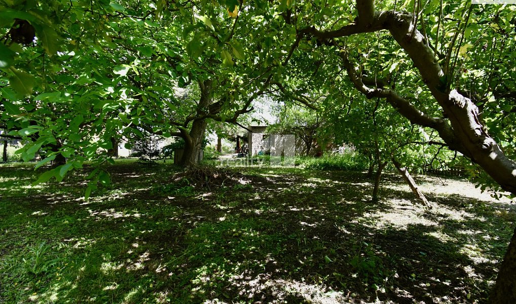 Prodej domu 2 572 m² s pozemkem 2 572 m², Dobrá Voda u Hořic – náhled fotky 8