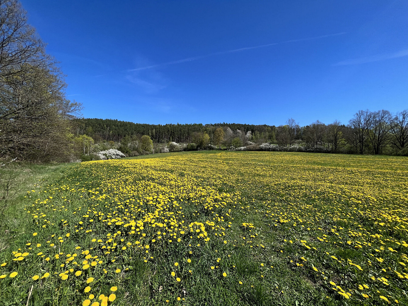 Prodej pole 15 428 m² – fotografie 4