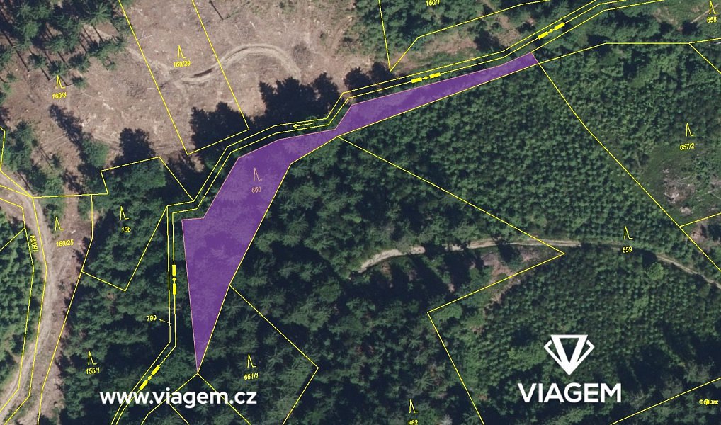 Prodej lesa 932 m², Vysoké nad Jizerou – náhled fotky 4