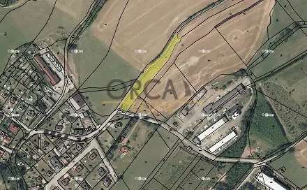 Prodej pole 3 233 m², Libštát, okres Semily