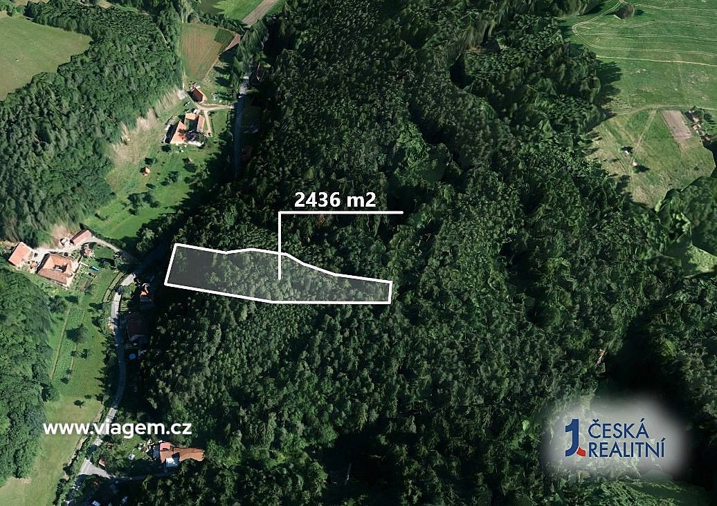 Prodej lesa 2 436 m² – pohled 2
