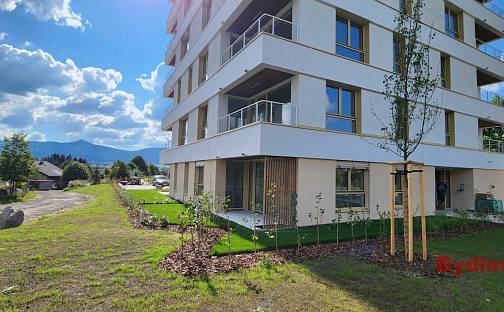 Prodej bytu 1+kk 35 m², Polní, Liberec - Liberec XII-Staré Pavlovice