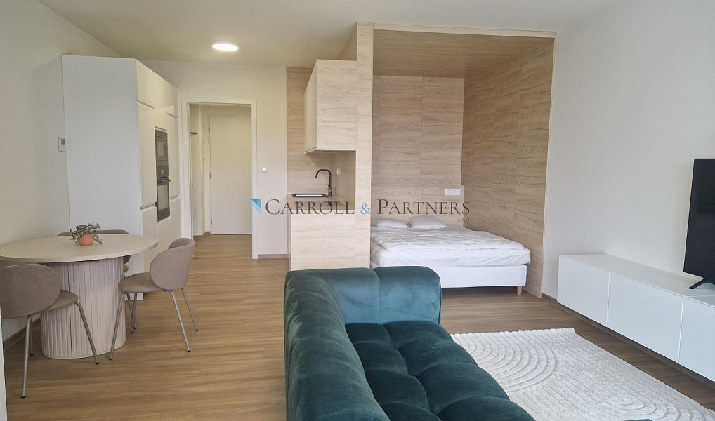 Pronájem bytu 1+kk 40 m², Ostrava – náhled fotky 11