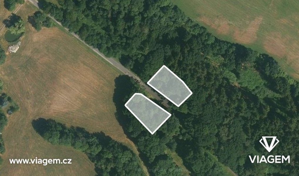 Prodej lesa 516 m², Úbislavice – náhled fotky 2