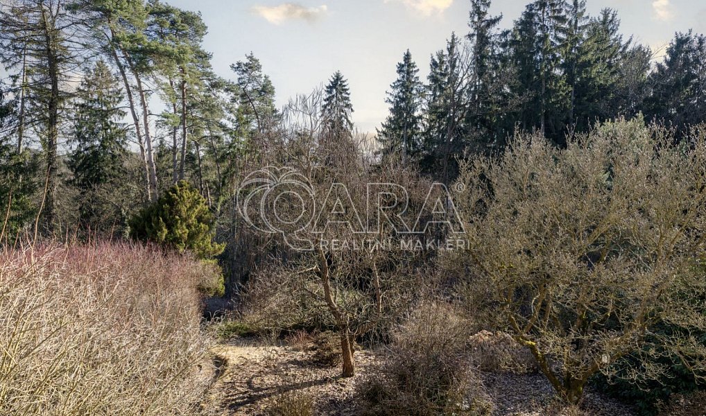 Prodej domu 330 m² s pozemkem 4 380 m², Senohraby – náhled fotky 19