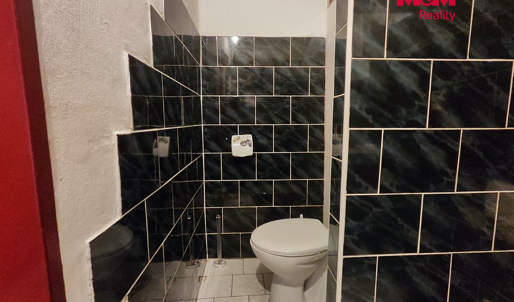Pronájem bytu 2+1 54 m², Bukovany – náhled fotky 9