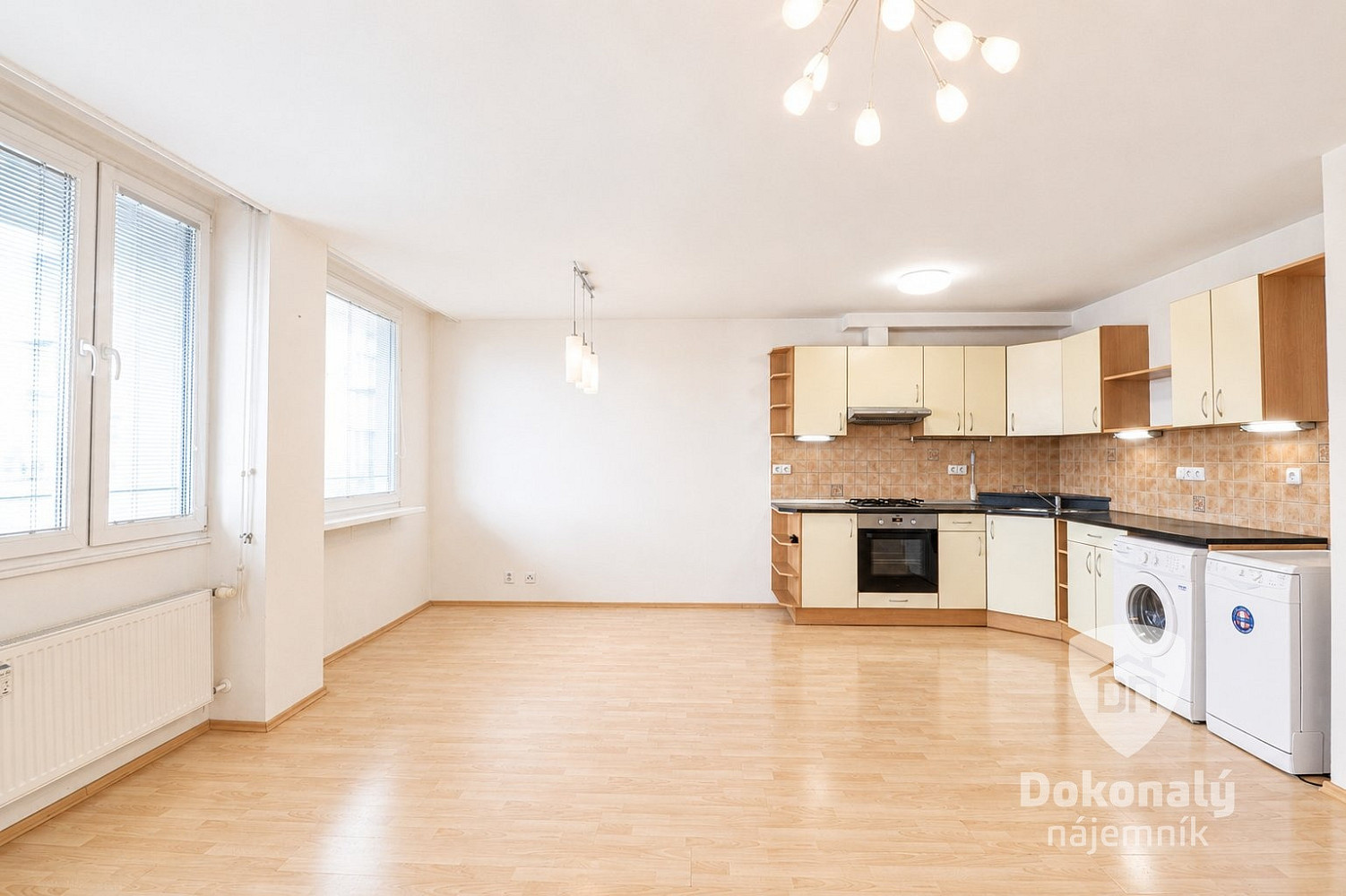 Pronájem bytu 3+kk 70 m² – fotografie 4
