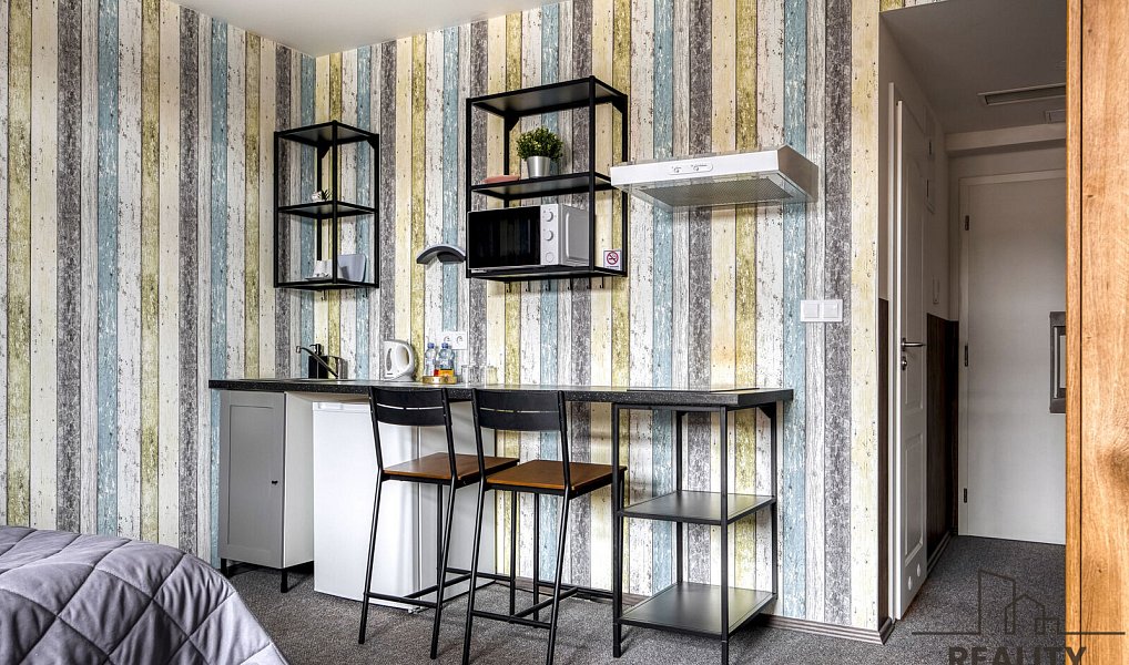 Pronájem bytu 1+kk 24 m², Praha – náhled fotky 4