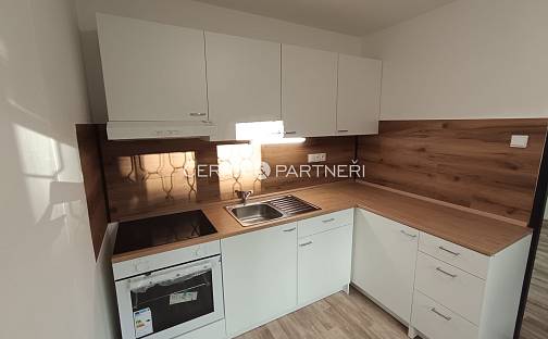 Pronájem bytu 3+1 53 m², Bohuslava Martinů, Most