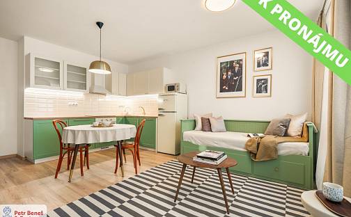 Pronájem bytu 1+kk 32 m², Lubenská, Rakovník - Rakovník II