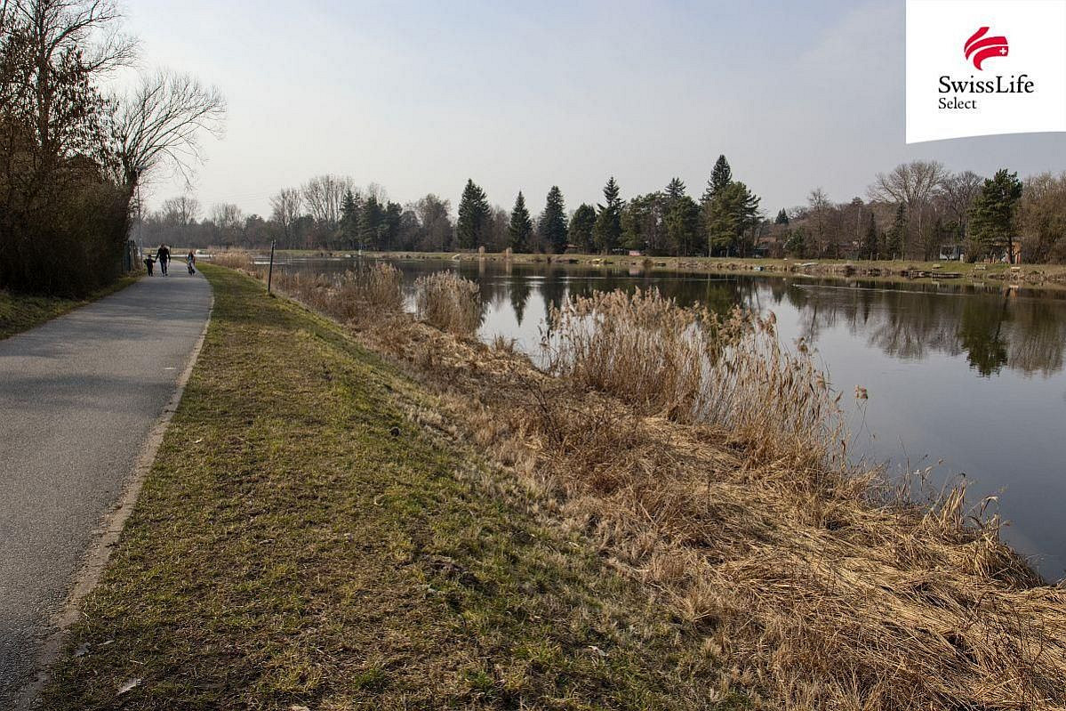 Prodej komerčního pozemku 4 264 m²