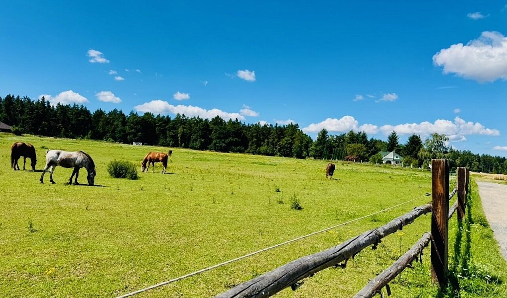 Prodej domu 149 m² s pozemkem 1 042 m², Svojetice – náhled fotky 29