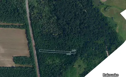 Prodej lesa 1 050 m², Břeclav - Poštorná