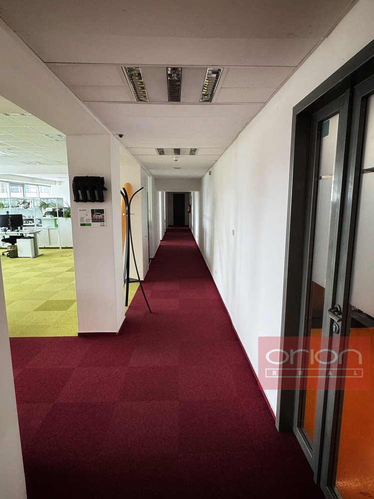 Pronájem kanceláře 303 m² – fotografie 5