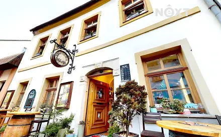 Prodej domu 296 m² s pozemkem 162 m², Čechova, Kadaň, okres Chomutov