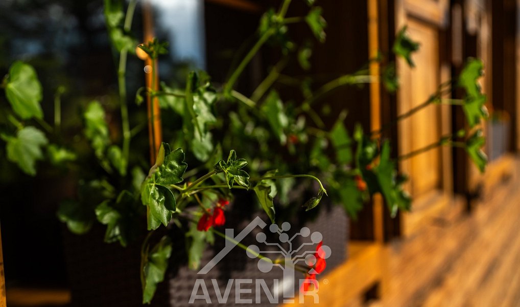 Prodej domu 168 m² s pozemkem 34 525 m², Mosty u Jablunkova – náhled fotky 42