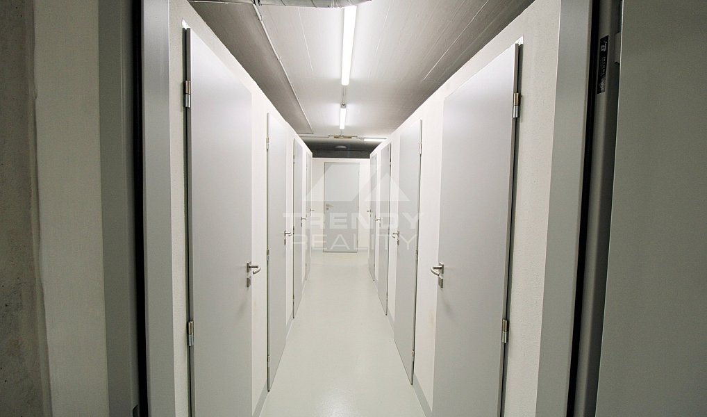 Pronájem bytu 2+kk 60 m², Plzeň – náhled fotky 9