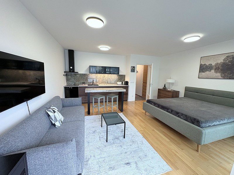 Pronájem bytu 1+kk 45 m² – fotografie 5