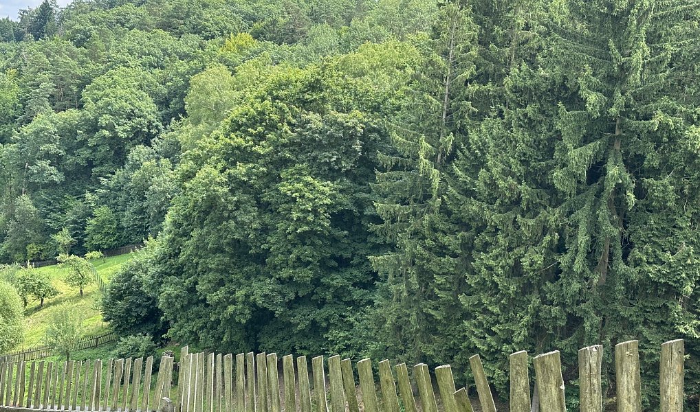 Prodej stavebního pozemku 3 706 m², Stříbrná Skalice – náhled fotky 20