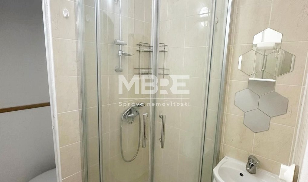 Pronájem bytu 1+1 39 m², Ostrava – náhled fotky 6