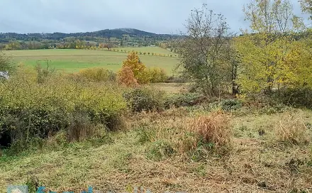 Prodej pozemku 4 183 m², Bušanovice, okres Prachatice