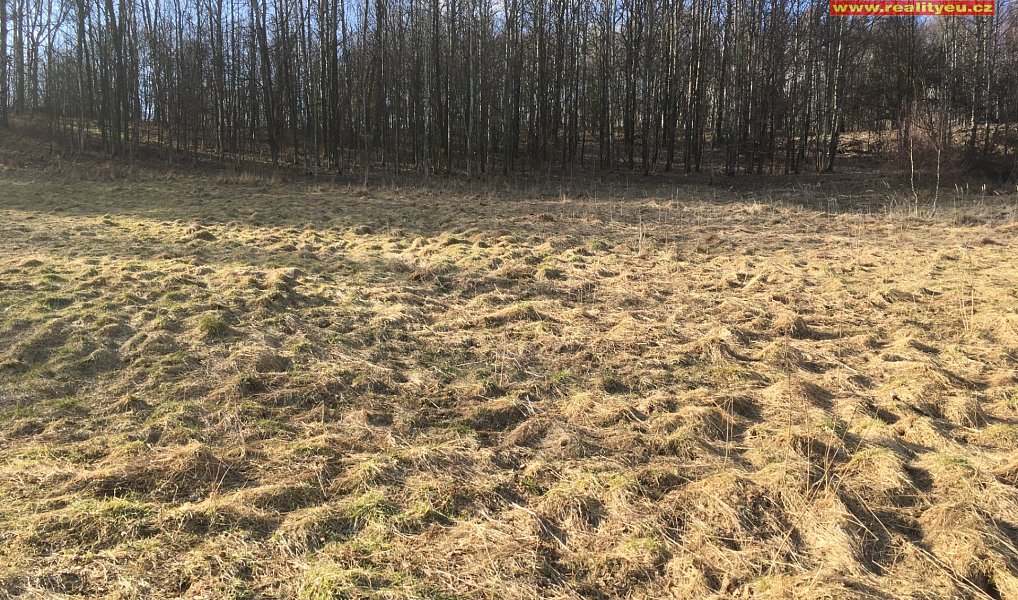 Prodej stavebního pozemku 1 400 m², Bernartice – náhled fotky 6