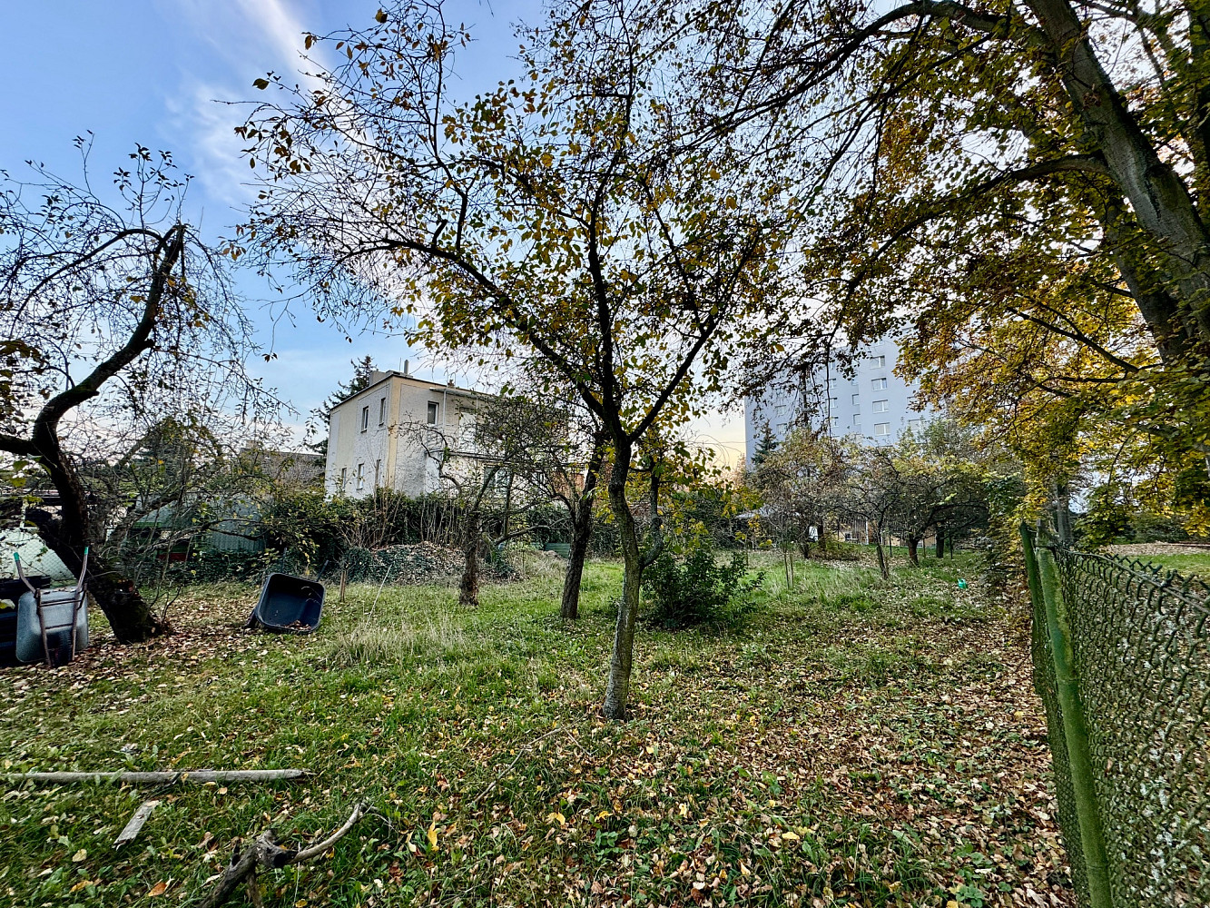 Fotka 6 z 10