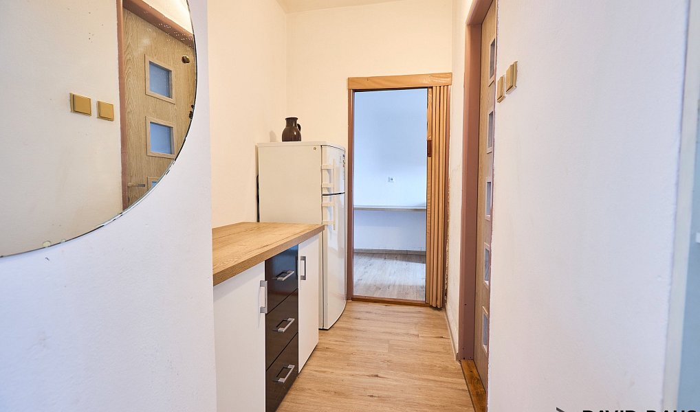 Prodej domu 232 m² s pozemkem 1 077 m², Hrušovany u Brna – náhled fotky 18