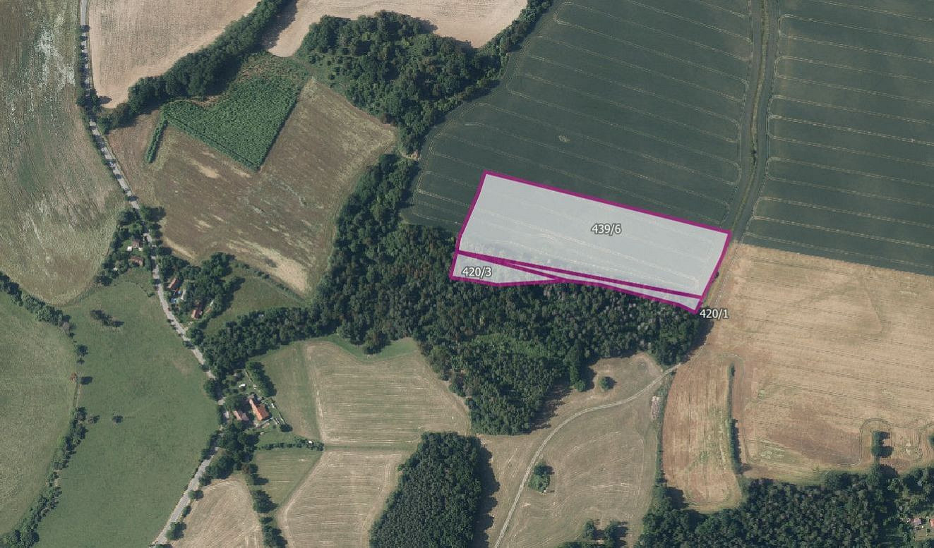 Prodej pole 30 999 m²
