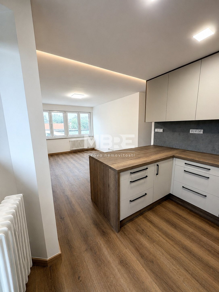 Pronájem bytu 3+1 62 m² — photo 2